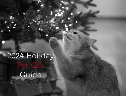 Your 2024 Holiday Pet Gift Guide