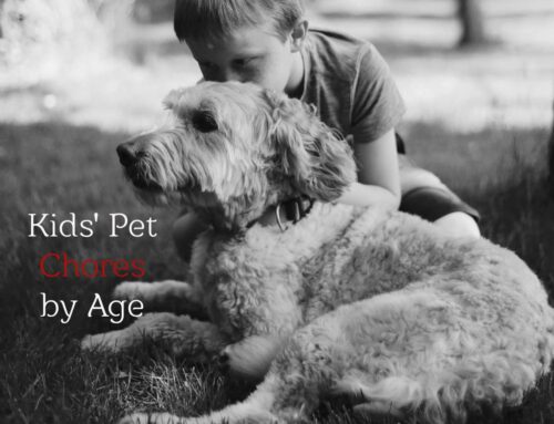 Kids’ Pet Chores by Age